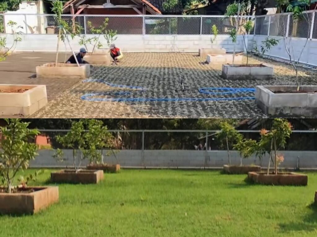 Penanaman rumput lapangan bola