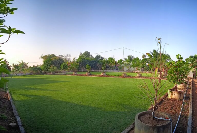 nursery_rumput