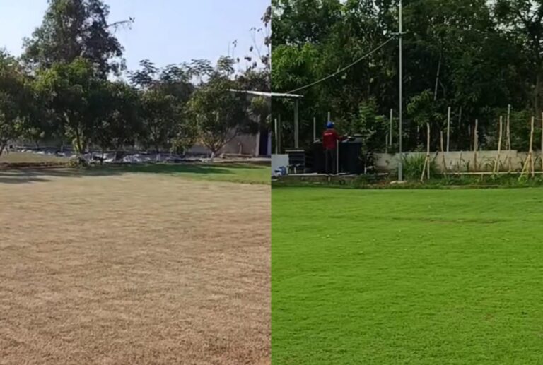 perawatan rumput lapangan bola zoysia japonica zoysia matrella