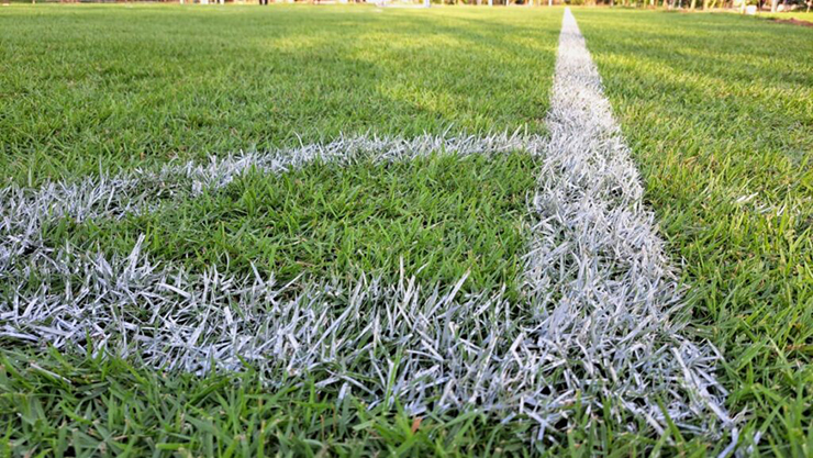 rumput lapangan sepak bola